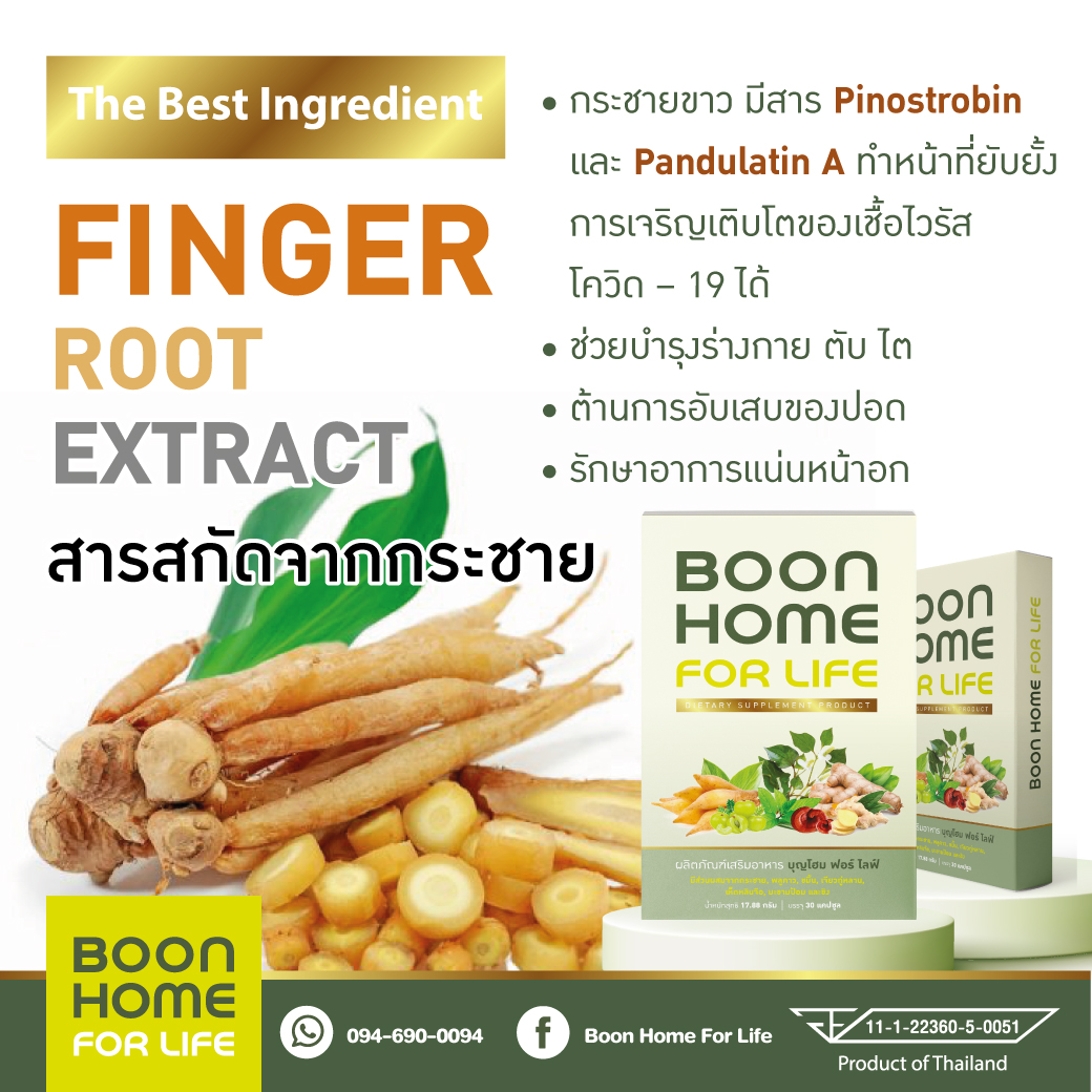 รูปภาพสินค้า